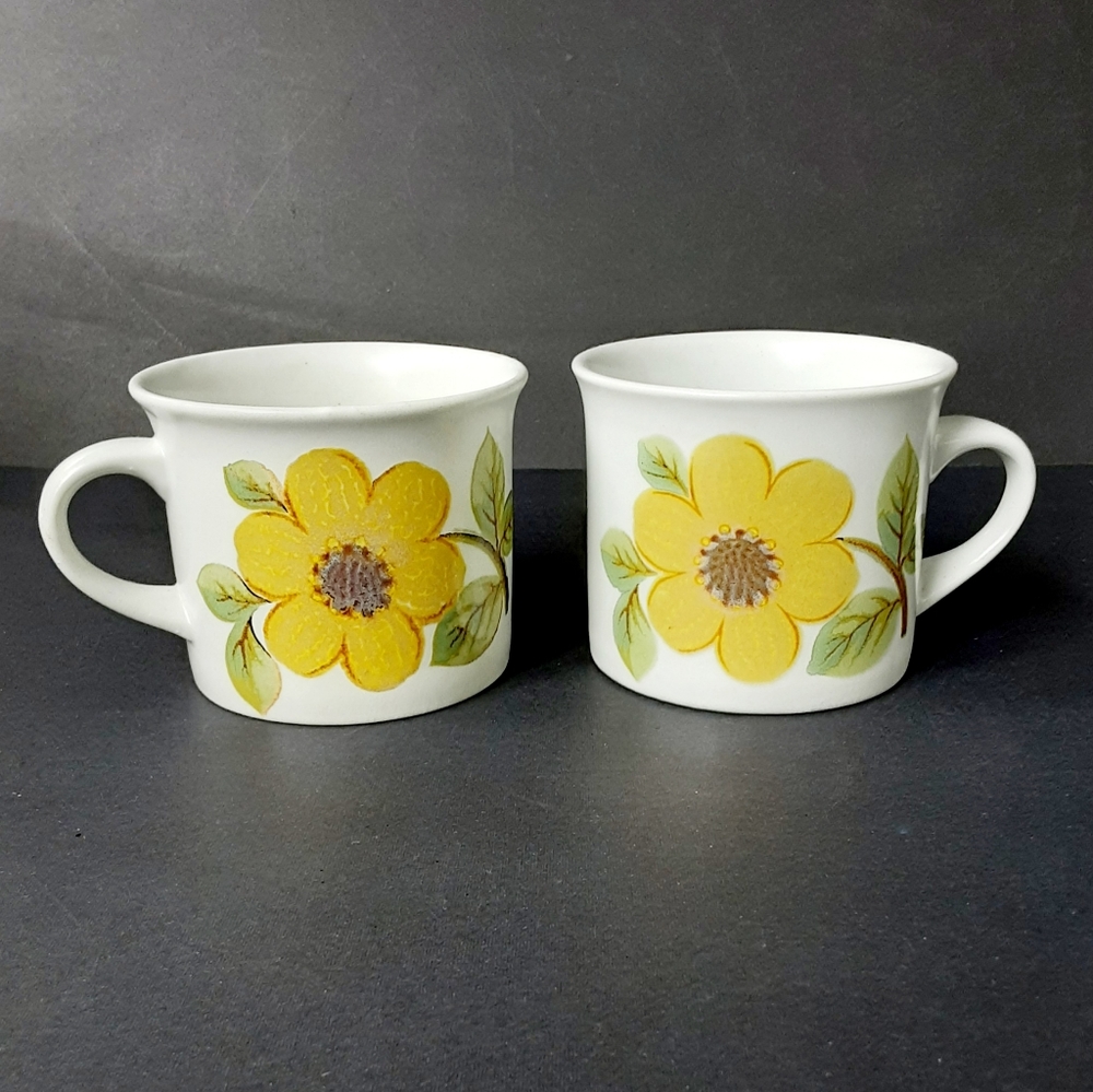 2 Royal Doulton Summer Days Coffee Cups Or Mugs L.S. 1002 Vintage Boho Floral